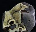 Crystal Filled Septarian Geode - Utah #33093-1